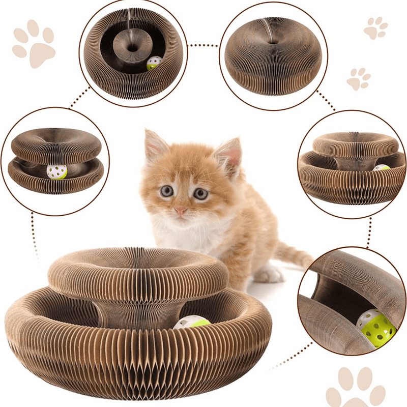 Interactive Toy for Cats I Cat Joy + 1 Gift Ball